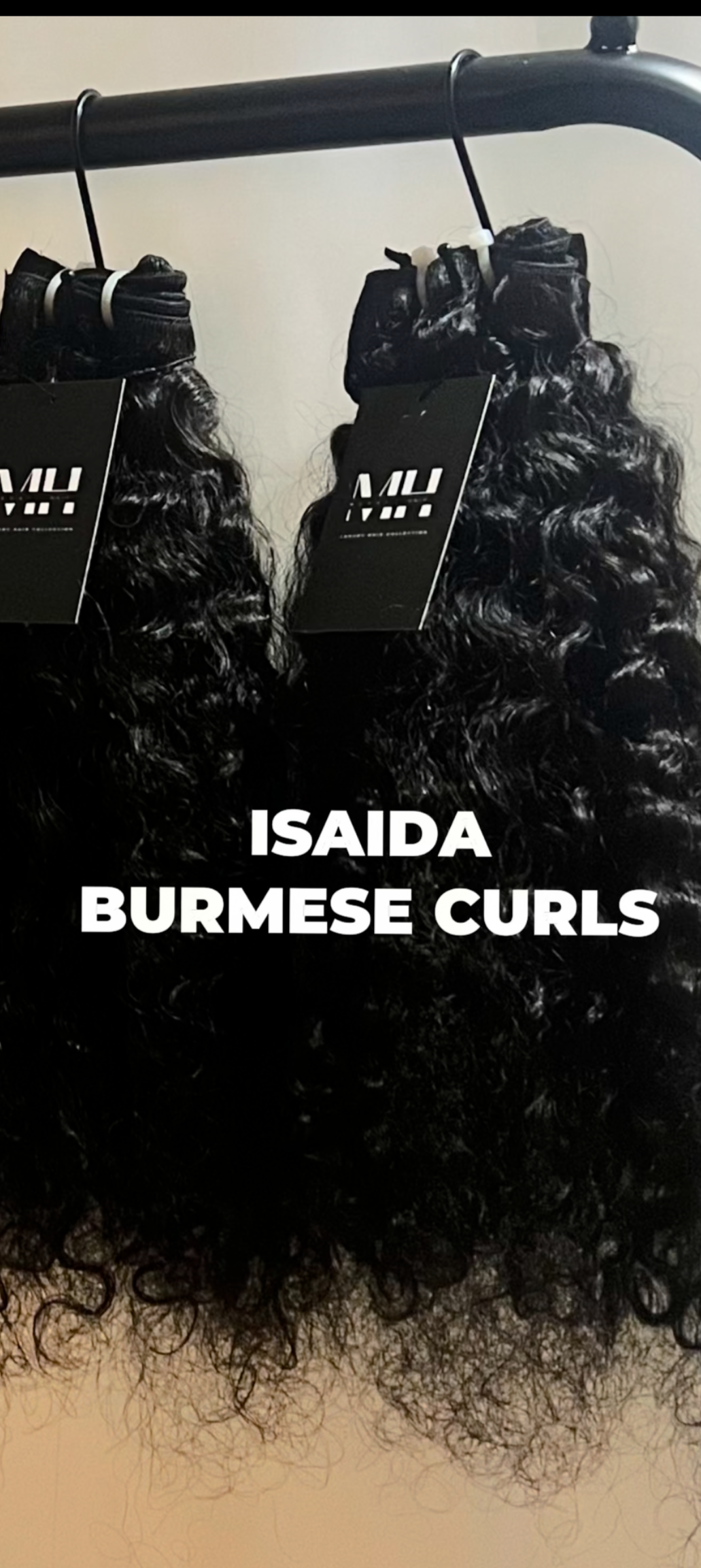 ISAIDA BURMESE CURLS (PRE-ORDER)