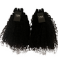 ISAIDA BURMESE CURLS (PRE-ORDER)
