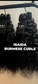 ISAIDA BURMESE CURLS (PRE-ORDER)